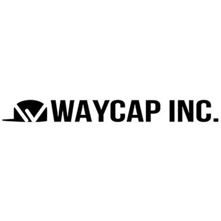 Waycap INC